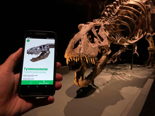 Naturalis & Madurodam